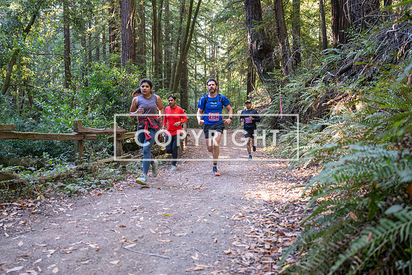 Coastal_Woodside26-293