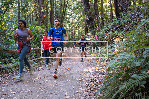 Coastal_Woodside26-295
