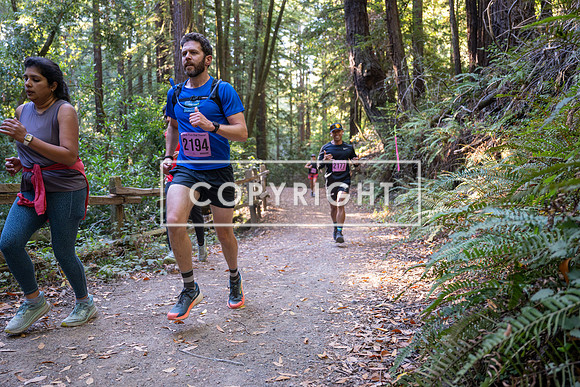 Coastal_Woodside26-296