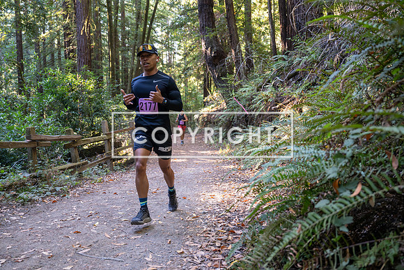 Coastal_Woodside26-297