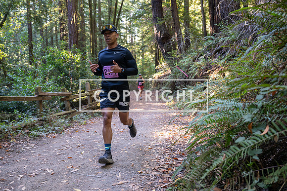 Coastal_Woodside26-298