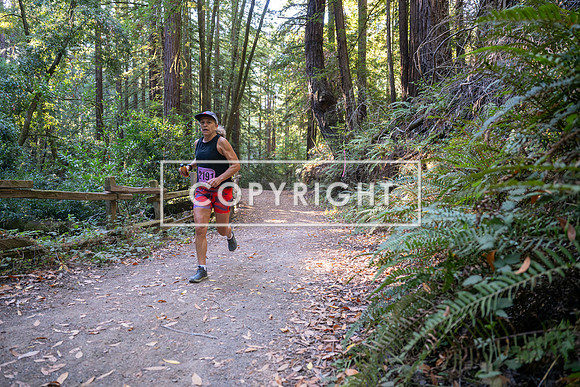Coastal_Woodside26-299