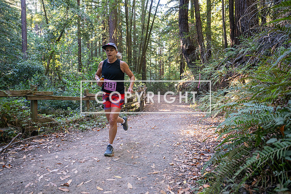 Coastal_Woodside26-301