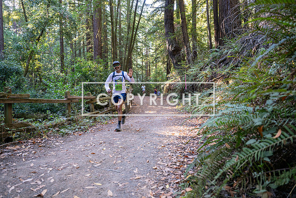 Coastal_Woodside26-303