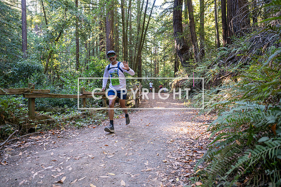 Coastal_Woodside26-304