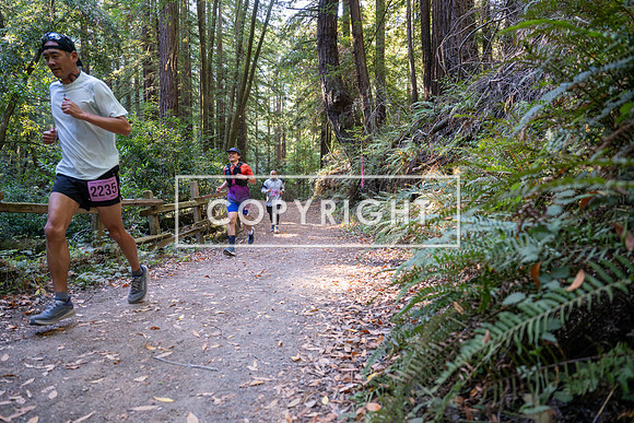 Coastal_Woodside26-310