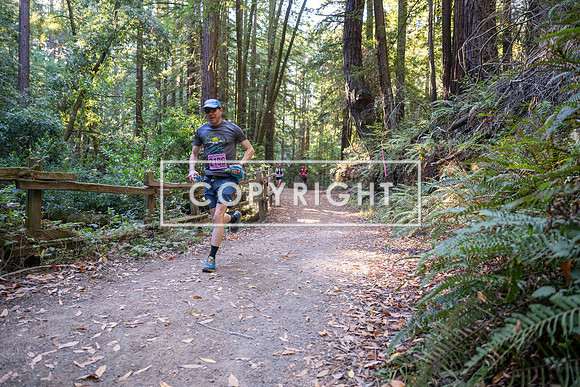 Coastal_Woodside26-318