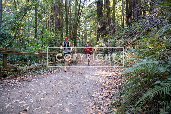 Coastal_Woodside26-320