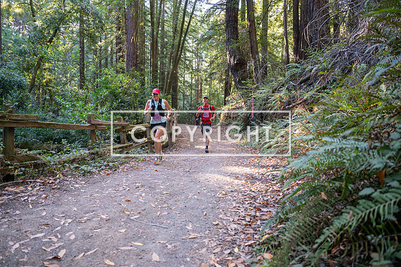 Coastal_Woodside26-319