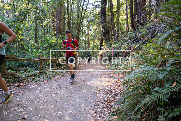 Coastal_Woodside26-321