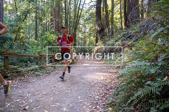 Coastal_Woodside26-322