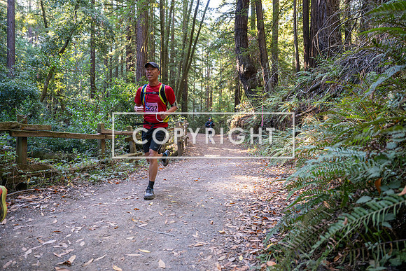 Coastal_Woodside26-323