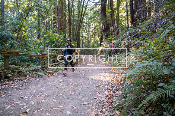 Coastal_Woodside26-324