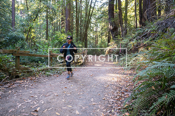 Coastal_Woodside26-325