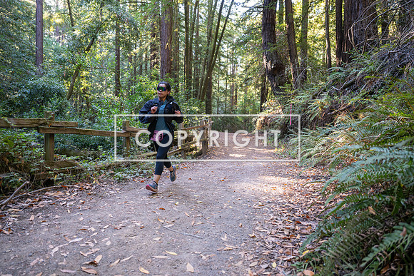 Coastal_Woodside26-326