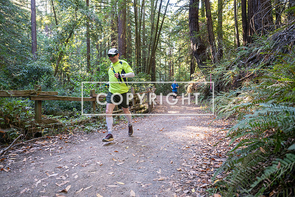 Coastal_Woodside26-327