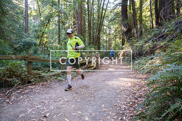 Coastal_Woodside26-328