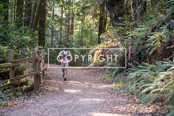 Coastal_Woodside26-333
