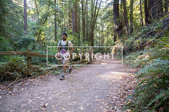 Coastal_Woodside26-334
