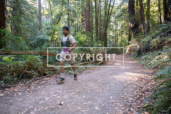 Coastal_Woodside26-335