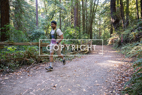 Coastal_Woodside26-336