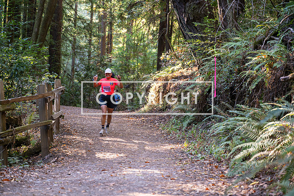 Coastal_Woodside26-337