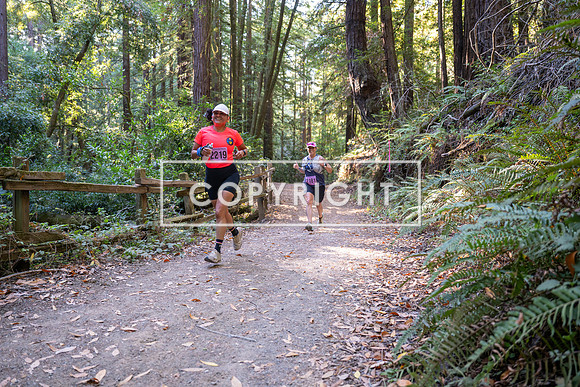 Coastal_Woodside26-338