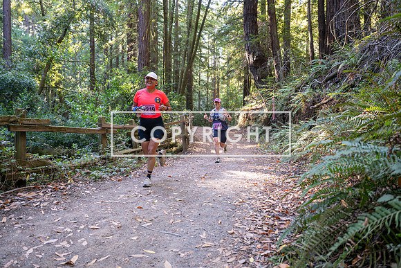 Coastal_Woodside26-339