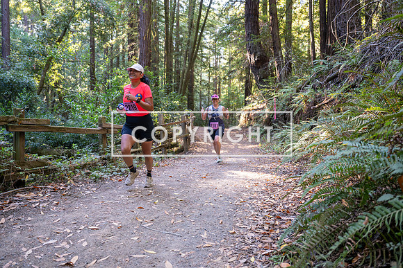 Coastal_Woodside26-340