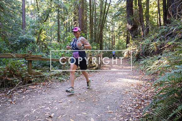 Coastal_Woodside26-341