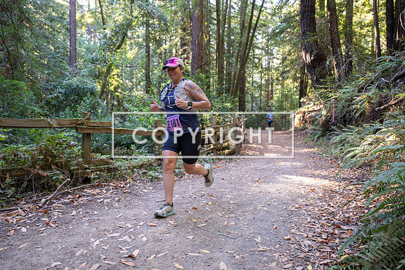 Coastal_Woodside26-342