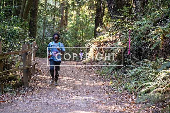 Coastal_Woodside26-343