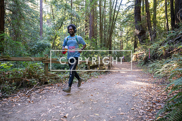 Coastal_Woodside26-344