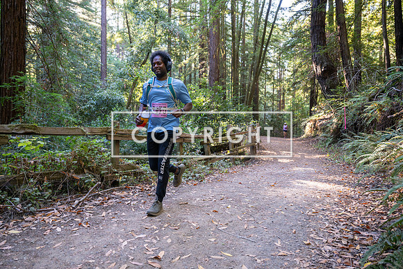 Coastal_Woodside26-345