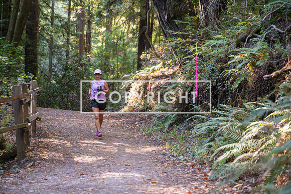 Coastal_Woodside26-346