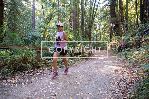 Coastal_Woodside26-347