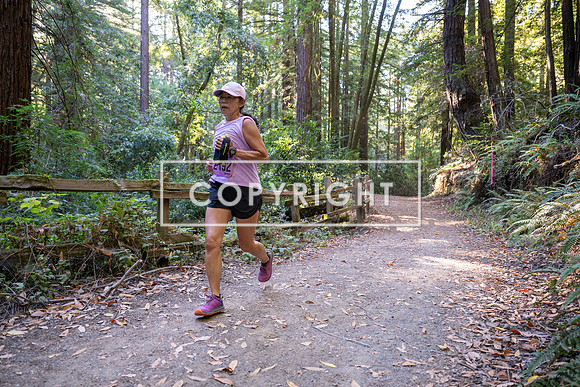 Coastal_Woodside26-348