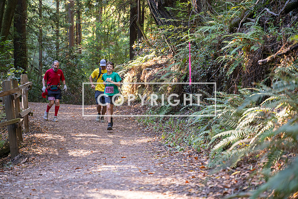 Coastal_Woodside26-349