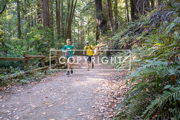 Coastal_Woodside26-350