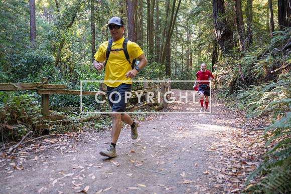 Coastal_Woodside26-353