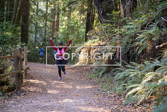 Coastal_Woodside26-357