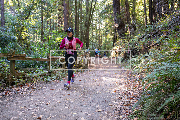 Coastal_Woodside26-358