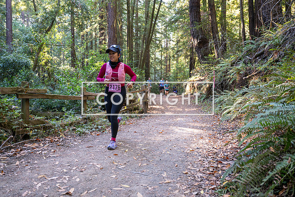 Coastal_Woodside26-359