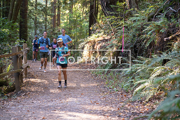 Coastal_Woodside26-360
