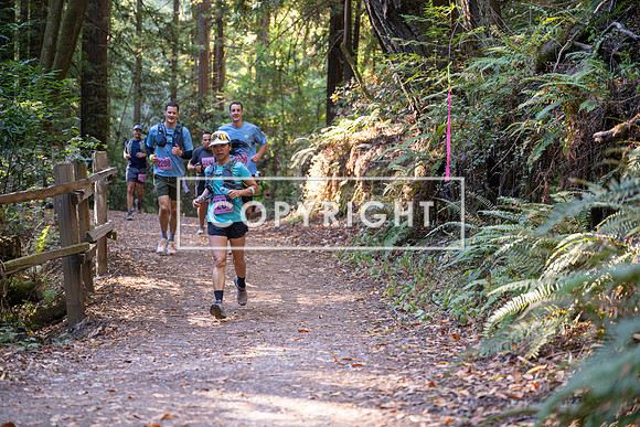 Coastal_Woodside26-361