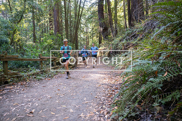 Coastal_Woodside26-362