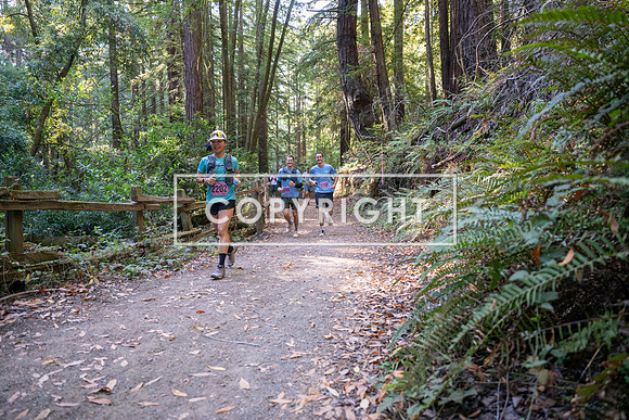 Coastal_Woodside26-363