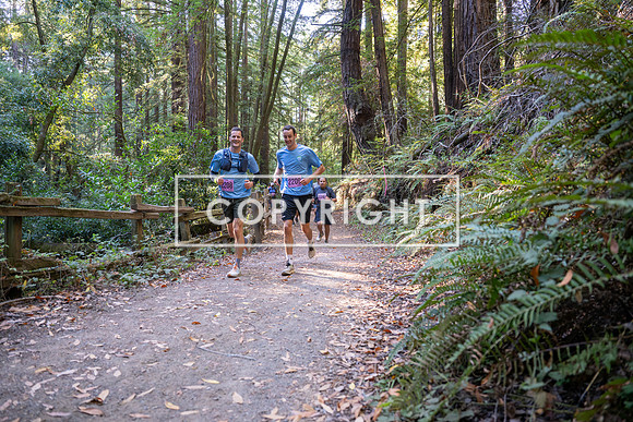 Coastal_Woodside26-364
