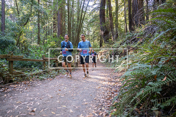 Coastal_Woodside26-365