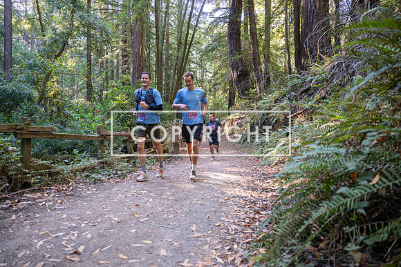 Coastal_Woodside26-366